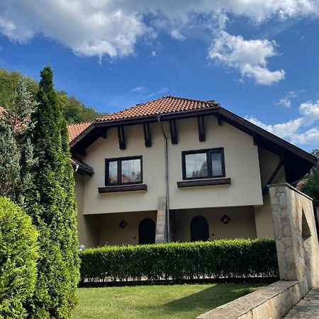Вила 11 - Семейна Почивка В Сърцето На Балкана Ribaritsa Exterior foto