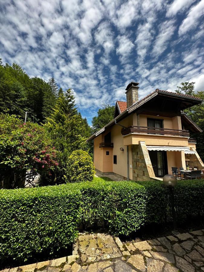 Вила 11 - Семейна Почивка В Сърцето На Балкана Ribaritsa Exterior foto