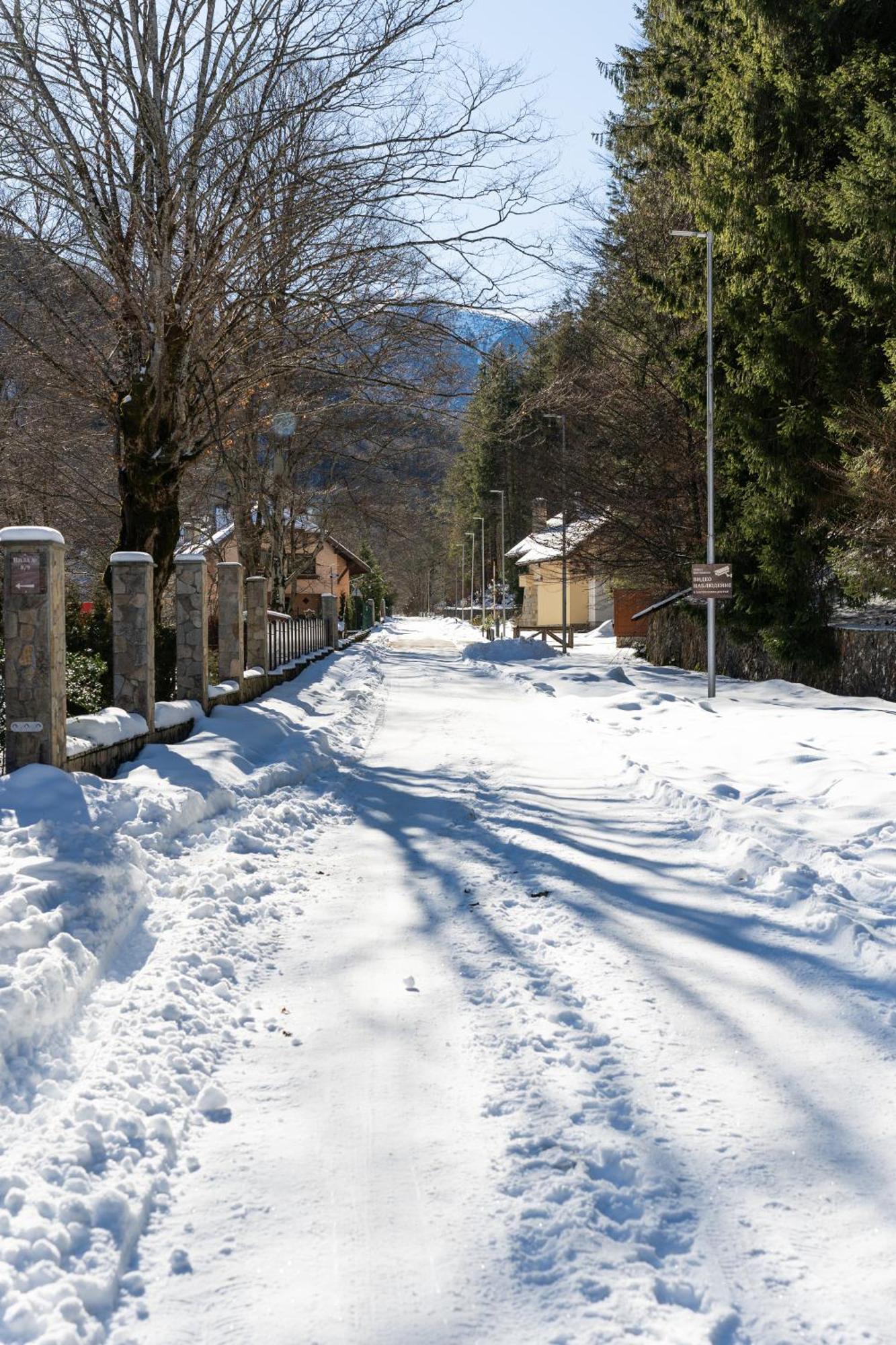 Вила 11 - Семейна Почивка В Сърцето На Балкана Ribaritsa Exterior foto